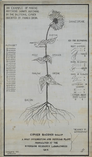 A diagram of a flower, from roots to bloom, the roots labeled as Bacon, the blom as Shakespeare, and other Elizabethan writers labeled for the leaves on the stem. The biliteral alphabet code is on the left side, and a legend on the right.